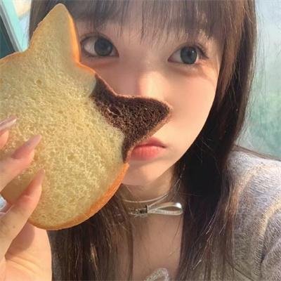 宝藏寻踪